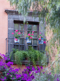 Window with Geraniums  San Miguel De Allende  Mexico