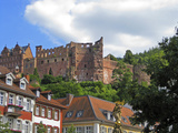 Heidelberg Castle  Heidelberg  Germany