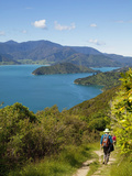 Queen Charlotte Track  Marlborough Sounds  South Island  New Zealand