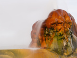 Fly Geyser  Black Rock Desert  Nevada  USA
