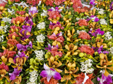 Flower Necklaces and Crowns at Papeete Market  Tahiti  French Polynesia