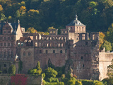View of Heidelberg's Old Town and Heidelberg Castle from the Philosophenweg  Heidelberg  Germany