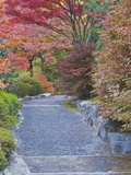 Tenryuji Temple Garden  Sagano  Arashiyama  Kyoto  Japan
