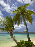 Beach and Palm Trees  Plantation Island Resort  Malolo Lailai Island  Mamanuca Islands  Fiji