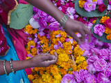 Woman Selling Flower  Pushkar  Rajasthan  India