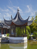 Chinese Gardens  Dunedin  Otago  South Island  New Zealand