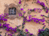 Ornamental Window  San Miguel De Allende  Mexico