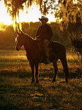 Florida Cracker  Chuck Luzier on 'Cheyenne' an Adopted Mustang in a Florida Oak Hammock  USA