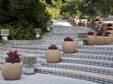 Steps in Hong Kong Park  Hong Kong  China