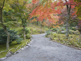 Tenryuji Temple Garden  Sagano  Arashiyama  Kyoto  Japan