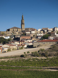 Briones  La Rioja Region  Spain