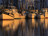 Shrimp Boats  Georgia  USA