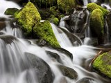 Waterfall  Olympic National Park  Washington  USA