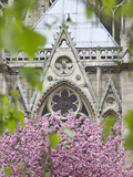 Notre Dame Cathedral  Paris  France