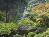 The Strolling Pond with Moon Bridge in the Japanese Garden  Portland  Oregon  USA