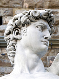 David of Michelangelo  Piazza Della Signoria  Florence  UNESCO World Heritage Site  Tuscany  Italy