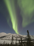 Aurora Borealis  Grayling Lake  Alaska  USA
