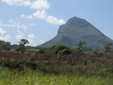 Sugar Cane Fields  Mauritius