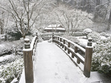 Snow-Covered Moon Bridge  Portland Japanese Garden  Oregon  USA