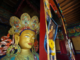 Dalai Lama Picture Beside Maitreya Buddha  Thiksey Monastery  Thiksey  Ladakh  India