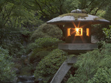 Illuminated Lantern in Portland Japanese Garden  Oregon  USA
