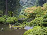The Strolling Pond with Moon Bridge in the Japanese Garden  Portland  Oregon  USA