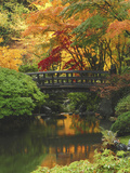 Moon Bridge in Autumn: Portland Japanese Garden  Portland  Oregon  USA