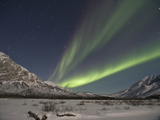 Aurora Borealis  Arctic National Wildlife Refuge  Alaska  USA