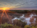 Sunset over Wetlands at Ocean Shores  Washington  USA