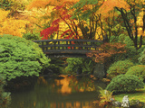 Moon Bridge in Autumn: Portland Japanese Garden  Portland  Oregon  USA
