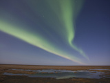 Aurora Borealis  Arctic National Wildlife Refuge  Alaska  USA