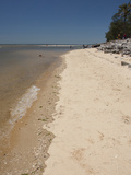 Beach  Maputo  Mozambique