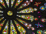 Stained Glass Detail National Basilica  Quito  Ecuador