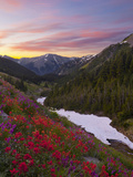 Badger Valley Sunrise  Olympic National Park  Washington  USA