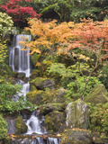 Heavenly Falls and Autumn Colors  Portland Japanese Garden  Oregon  USA