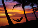 Woman in Hammock  and Palm Trees at Sunset  Coral Coast  Viti Levu  Fiji  South Pacific