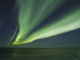 Aurora Borealis  Beaufort Sea  Alaska  USA