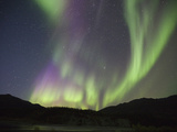 Aurora Borealis  Koyukuk River  Alaska  USA