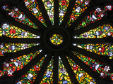 Stained Glass Detail National Basilica  Quito  Ecuador