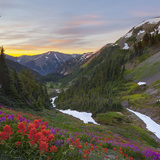Badger Valley Sunrise  Olympic National Park  Washington  USA