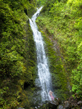 Lulumahu Falls  Lulumahu Valley  Nuuanau  Oahu  Hawaii  USA