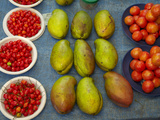 Nadi Produce Market  Nadi  Viti Levu  Fiji  South Pacific