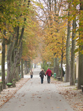 Walkway Along the River Inn Passau  Germany