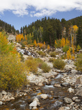 Alluvial Fan  Rocky Mountain National Park  Colorado  USA