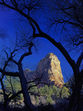 Paria Point  Zion National Park  Utah  USA