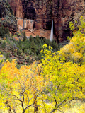 Ephemeral Waterfall  Zion National Park  Utah  USA