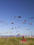 Kites  International Kite Festival  Long Beach  Washington  USA