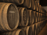 Sherry Casks  Bodegas Gonzalez Byass  Jerez De La Frontera  Spain