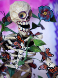 Day of the Dead Altar  San Miguel De Allende  Mexico