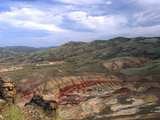 Painted Hills from the Heights  John Day Fossil Beds National Monument  Mitchell  Oregon  USA